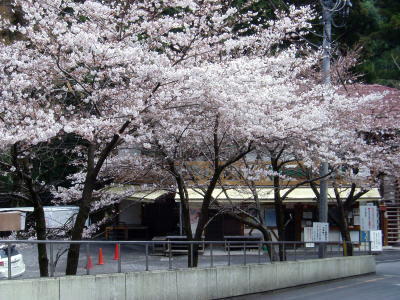 0412hikaya.jpg