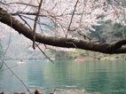 P4080541.jpg