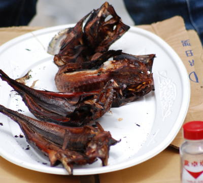 blog042909.jpg