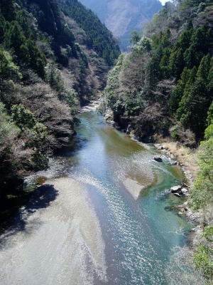 shiromaru2.jpg